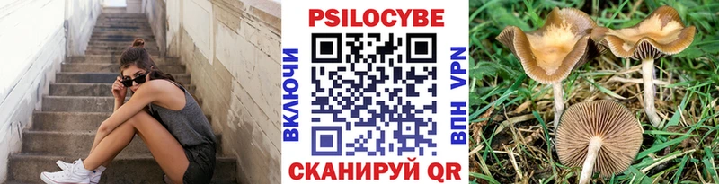 Купить закладки  Каменка  Псилоцибиновые грибы Cubensis 